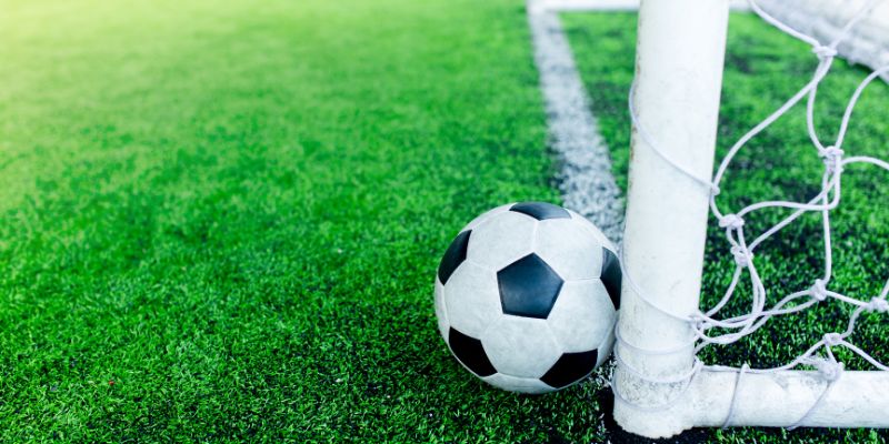 Hướng dẫn sử dụng goaloo hiệu quả